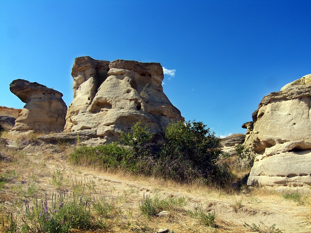 2025 Mini Conference